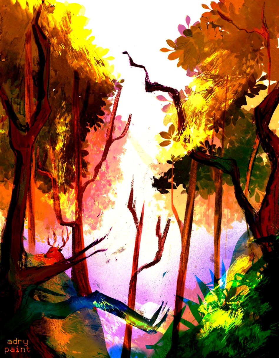 sunny forest by adrypaint